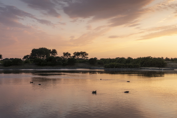 thalazur carnac exterieur 2019-les-salines-629