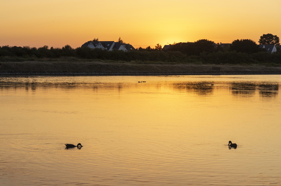 thalazur carnac exterieur 2019-les-salines-630