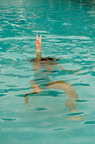 thalazur cabourg piscine exterieure DSCF1851